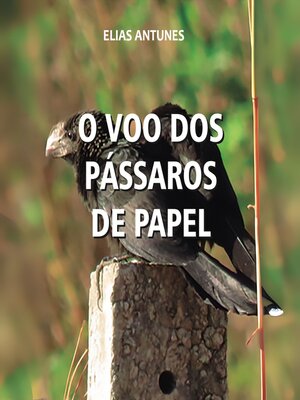 cover image of O voo dos pássaros de papel